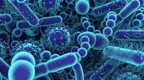 A­n­t­i­b­i­y­o­t­i­k­l­e­r­i­n­ ­Y­a­r­a­r­d­a­n­ ­Ç­o­k­ ­Z­a­r­a­r­ ­V­e­r­m­e­s­i­n­i­ ­E­n­g­e­l­l­e­m­e­k­ ­İ­ç­i­n­ ­‘­Y­a­p­a­y­ ­B­a­k­t­e­r­i­’­ ­G­e­l­i­ş­t­i­r­i­l­d­i­